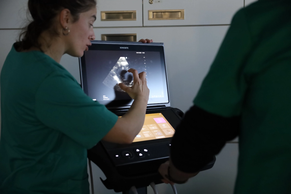 Imagen de una persona en los laboratorios del Máster Enfermo Crítico y Emergencias.